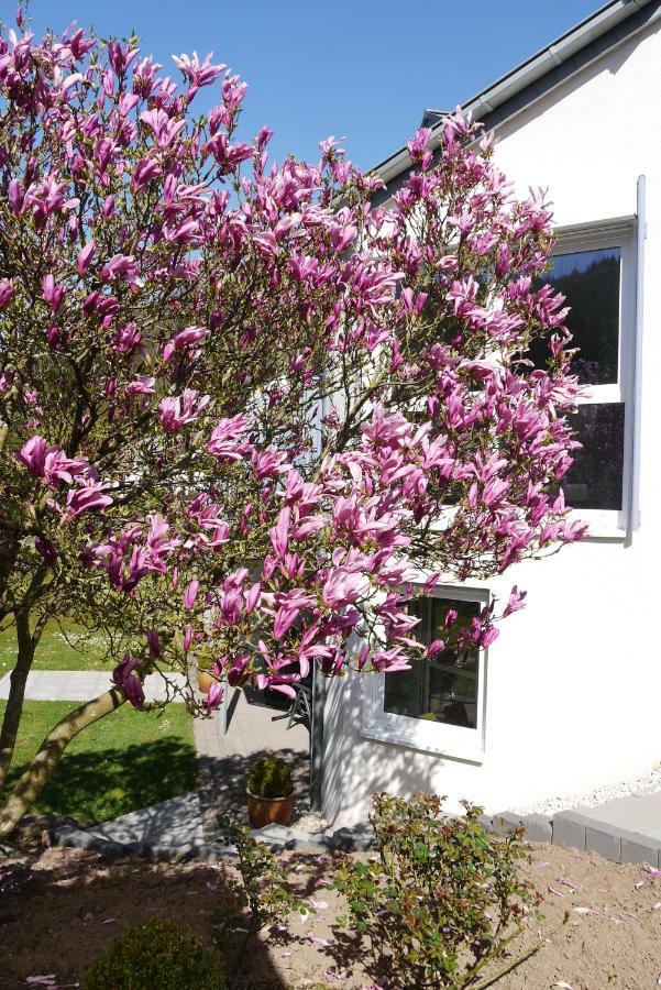 Ferienwohnung "Magnolia" Kordel Exterior foto
